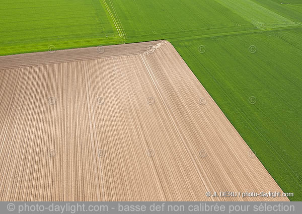 agriculture - Hesbaye